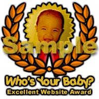   Excellent Website Award Sample